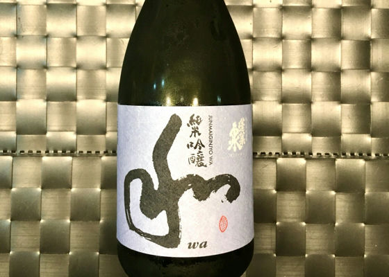 alt 1