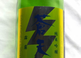 alt 1
