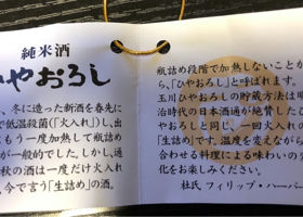 alt 3