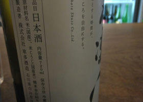 alt 2