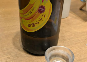alt 1
