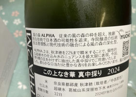 alt 2