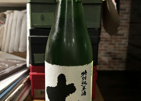 alt 1