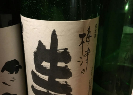 梅津の生酛 チェックイン 1