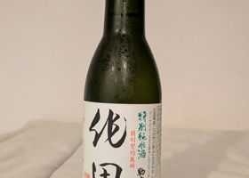 alt 1