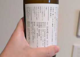 alt 3