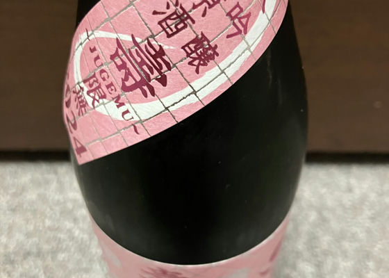 alt 1