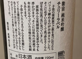 alt 3