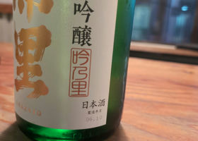 alt 3