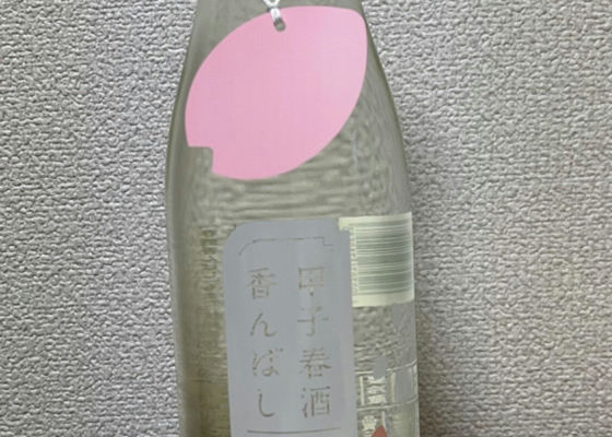 alt 1