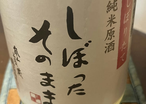 alt 1