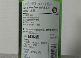 Emishiki Check-in 2