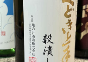 alt 3