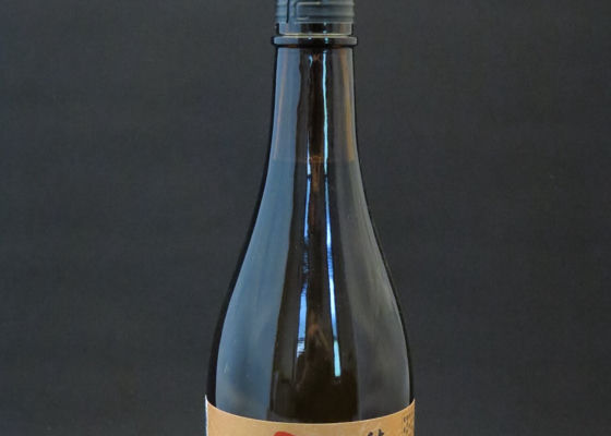 alt 1