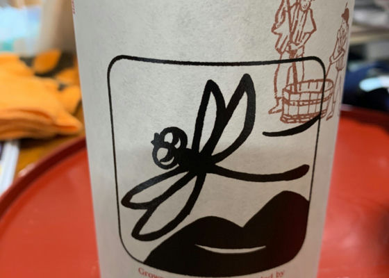 alt 1