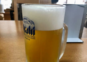 alt 4
