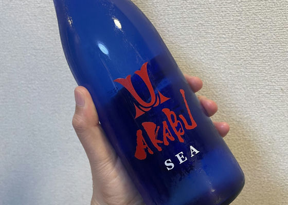alt 1