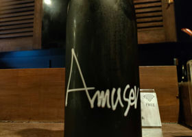 alt 1
