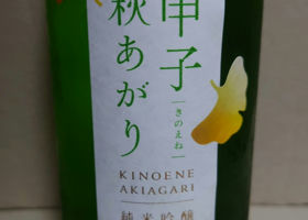 alt 1