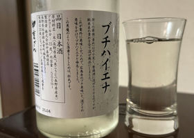 alt 2