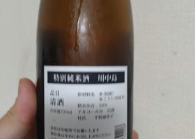 alt 1