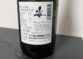 alt 3