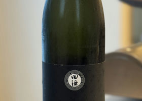 alt 1