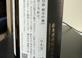 alt 3