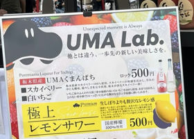 UMA Lab. チェックイン 2