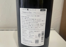 alt 3