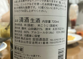 alt 3