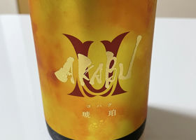 alt 1
