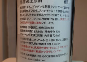 alt 3