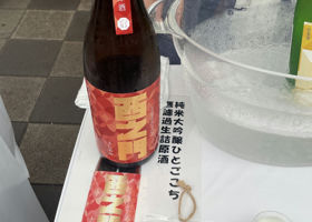 alt 1