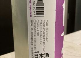 alt 3