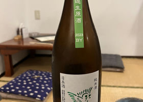 alt 1