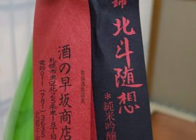 alt 3