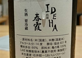 alt 1