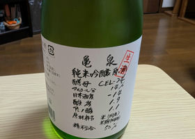 alt 1