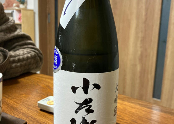 alt 1