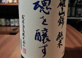 alt 1
