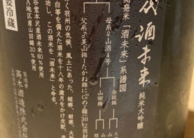 alt 3