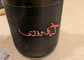 alt 1