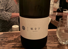 alt 1
