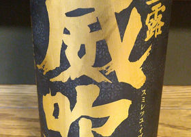 alt 2