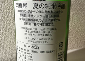 alt 3