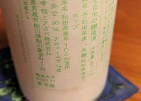 alt 3