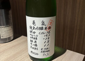 alt 1
