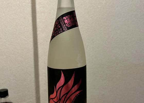 alt 1