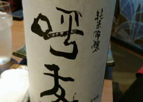 alt 1